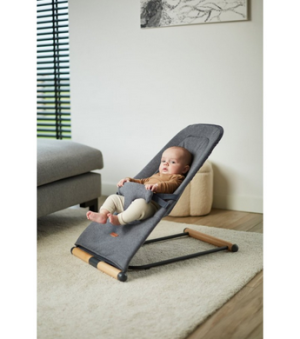 CHILDHOME Сгъваем шезлонг за люлеене EVOLUX, Natural Anthracite