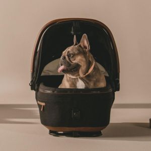 TAAVO Maeve™, с база,  Стол за кола и кош за котка и куче 2 в 1 