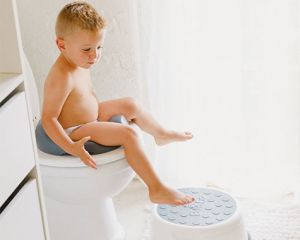 BUMBO Step`n Potty гърне 3 в 1 Heather