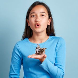 EUGY 3D Фигурка за сглобяване Крокодил 